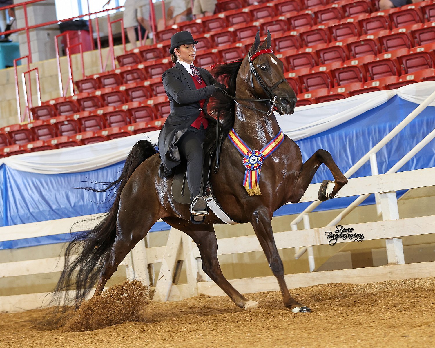 Asheville Summer Fun Horse Show Thursday Evening 67. ASB Western